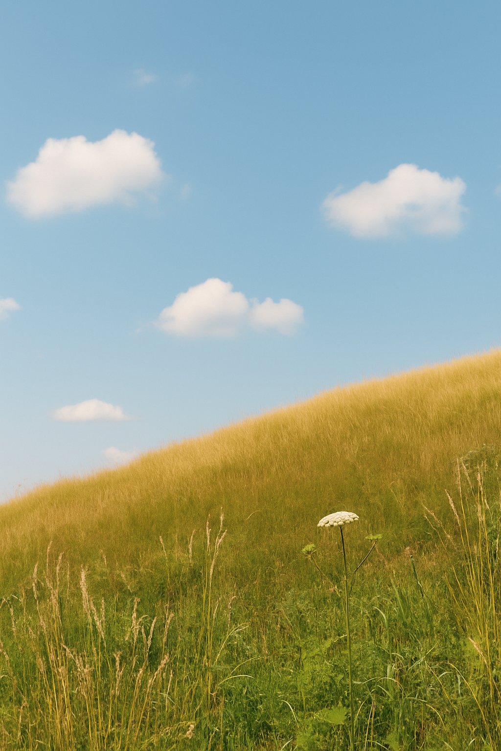 Momentum in Exploration - Q2 2025 at AUM Solutions